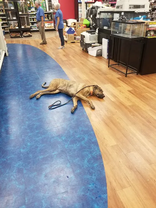 Pet Supermarket 12