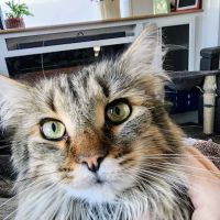 Sandhills Veterinary Hospital ico