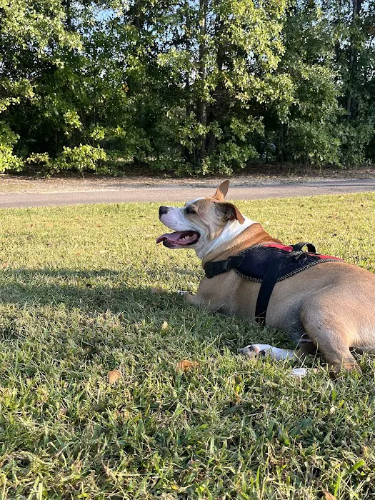 Sandhills Veterinary Hospital 12