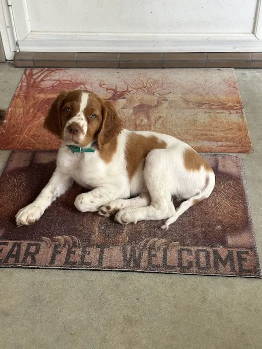Pet Friends Veterinary Clinic 12