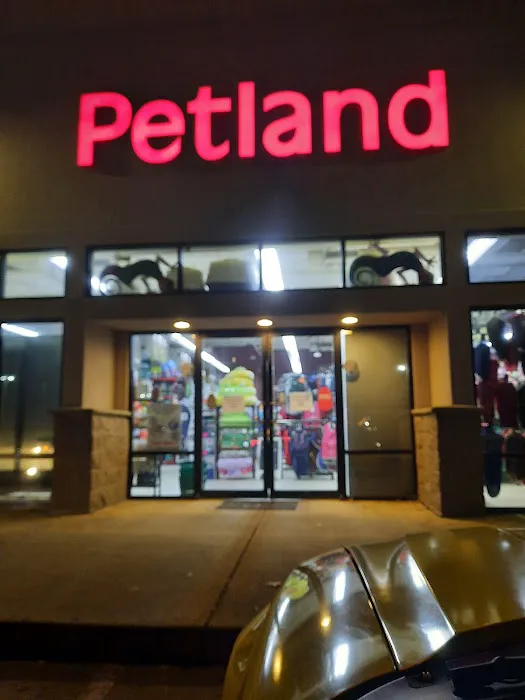 Petland Montgomery 12