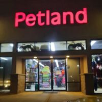 Petland Montgomery ico