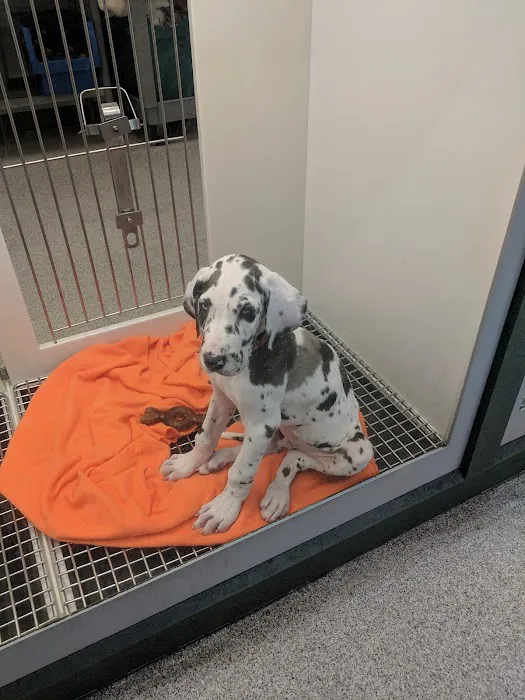 Petland Montgomery 12