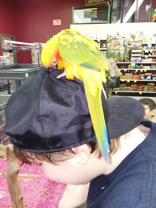 Petland Montgomery 12