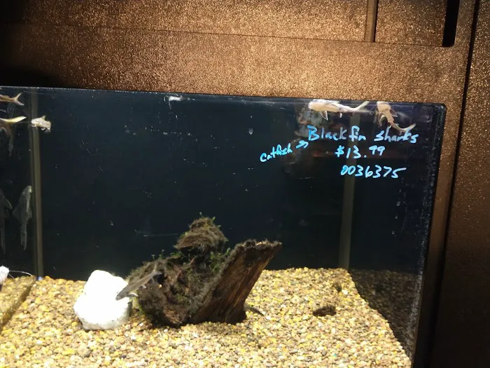 Petland Montgomery 12