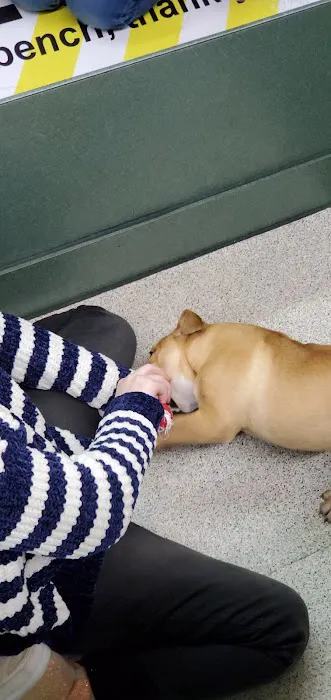 Petland Montgomery 12