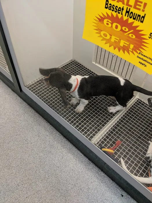 Petland Montgomery 12