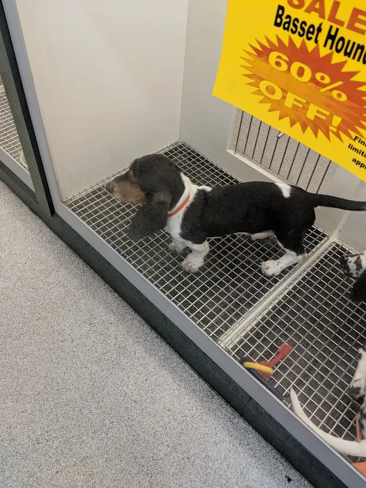 Petland Montgomery 12
