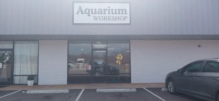 Aquarium Workshop 12
