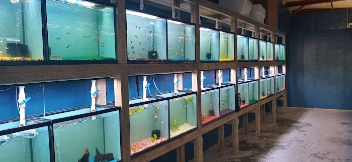 Aquarium Workshop 12