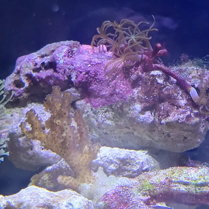 Aquarium Workshop 12