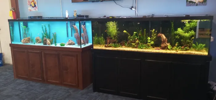 Aquarium Workshop 12
