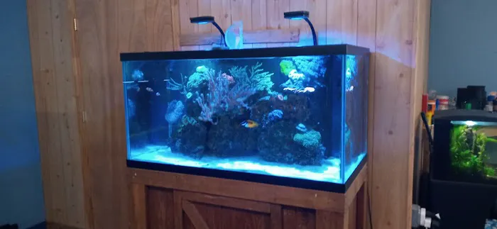 Aquarium Workshop 12