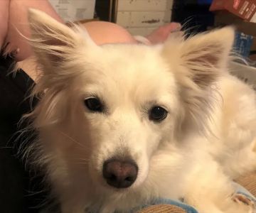 Hoof-N-Paw Veterinary Services
