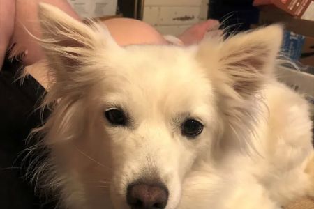 Hoof-N-Paw Veterinary Services