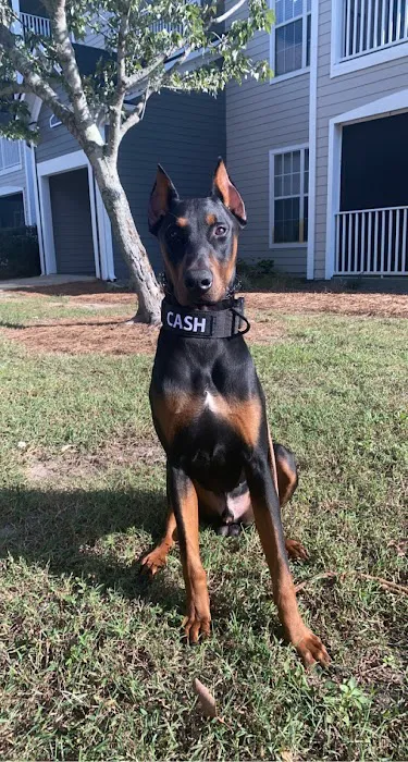 Johnston Animal Hospital 3