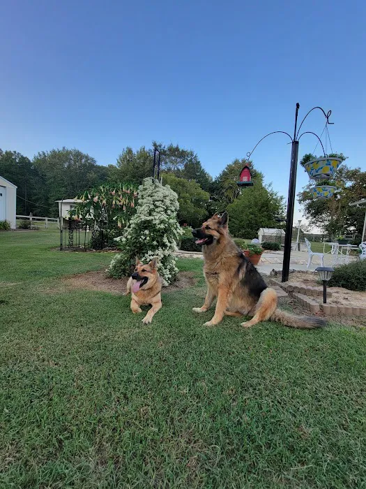 Johnston Animal Hospital 7