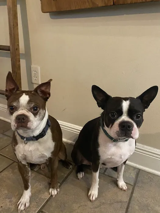 Metairie Small Animal Hospital - West Esplanade Clinic 1