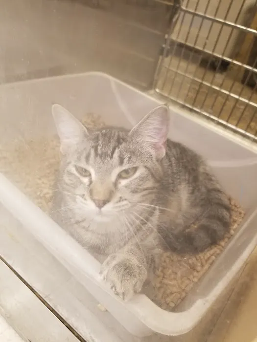 Banfield Pet Hospital 5
