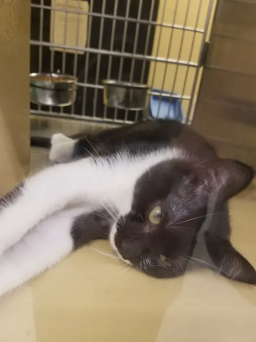 Banfield Pet Hospital 1