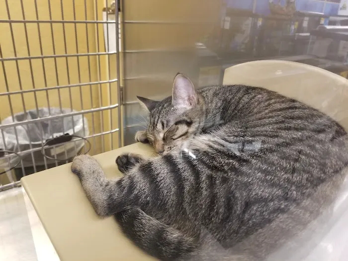 Banfield Pet Hospital 2