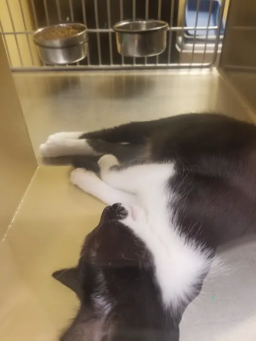 Banfield Pet Hospital 9