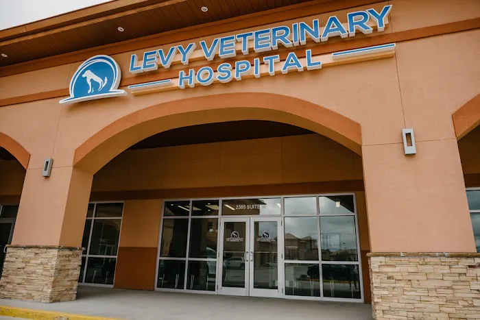 Levy Veterinary Hospital 6