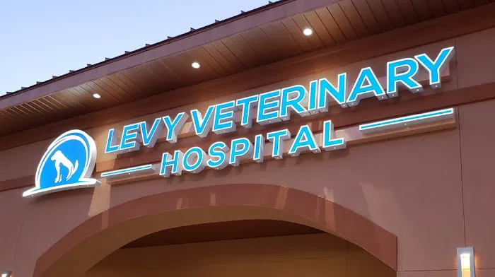 Levy Veterinary Hospital 2