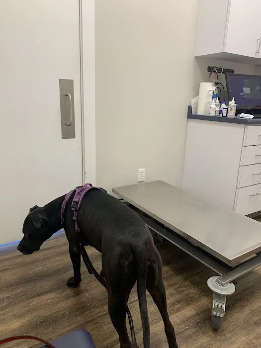 Levy Veterinary Hospital 4