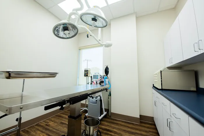 Levy Veterinary Hospital 3