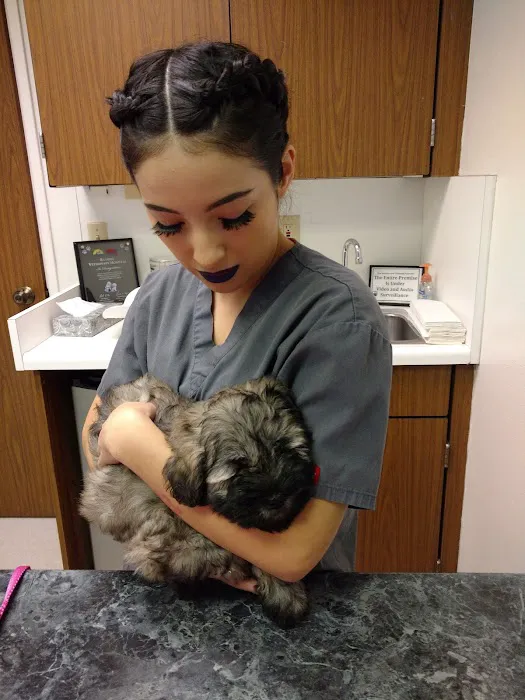 Our Pet Vets 12