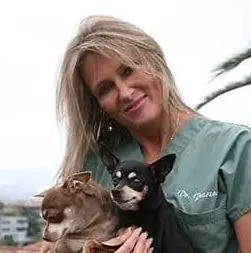 Our Pet Vets 12