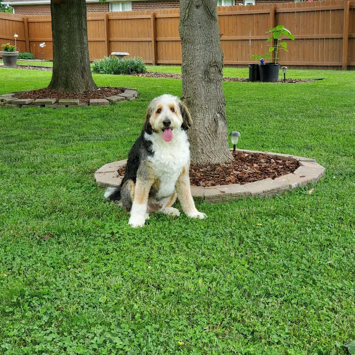 McMillan Veterinary Clinic 12