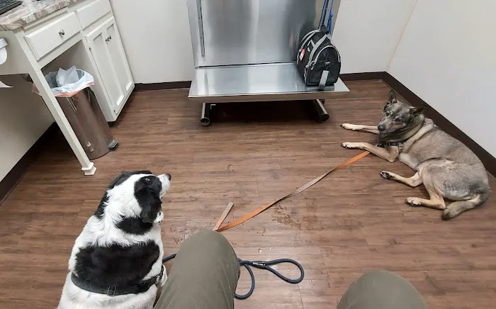 McMillan Veterinary Clinic 12