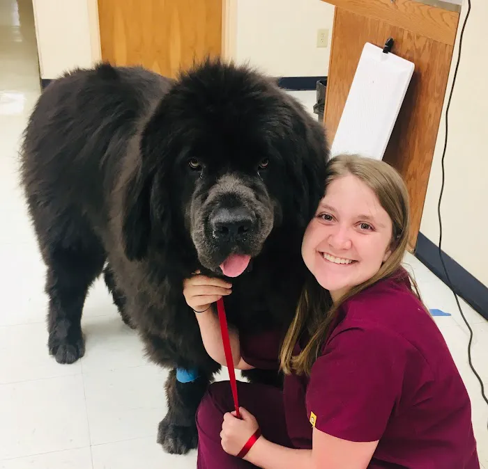 Critter Clinic 12