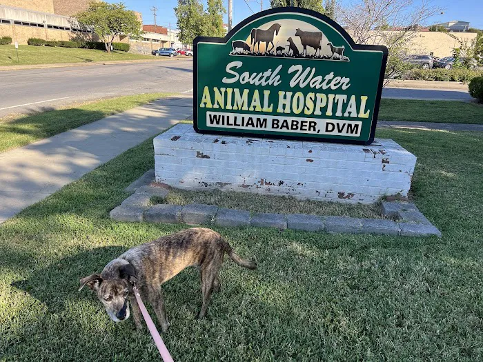 South Water Animal Hospital 12