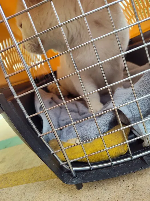 Sumner Spay Neuter Alliance 12