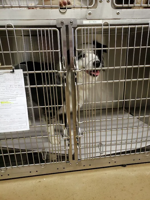 Sumner Spay Neuter Alliance 12