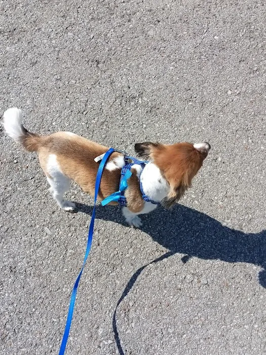 Sumner Springs Veterinary Clinic 12