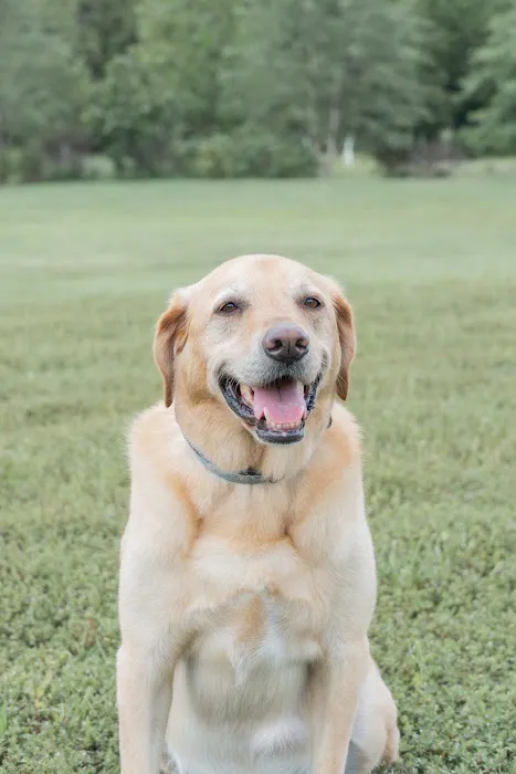 Banfield Pet Hospital 12