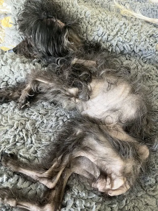 Banfield Pet Hospital 12