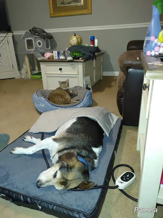 Pets R Us Vet 12