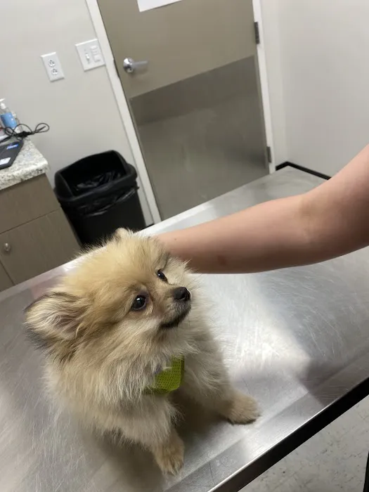 Pets R Us Vet 12