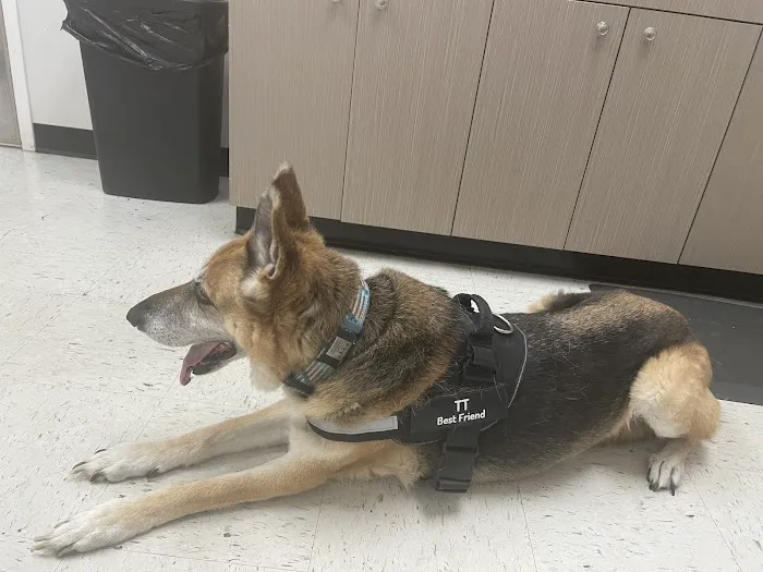 Pets R Us Vet 12
