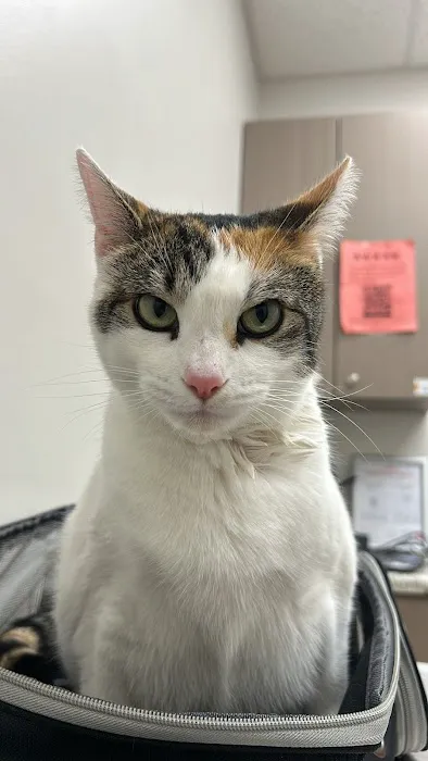 Pets R Us Vet 12