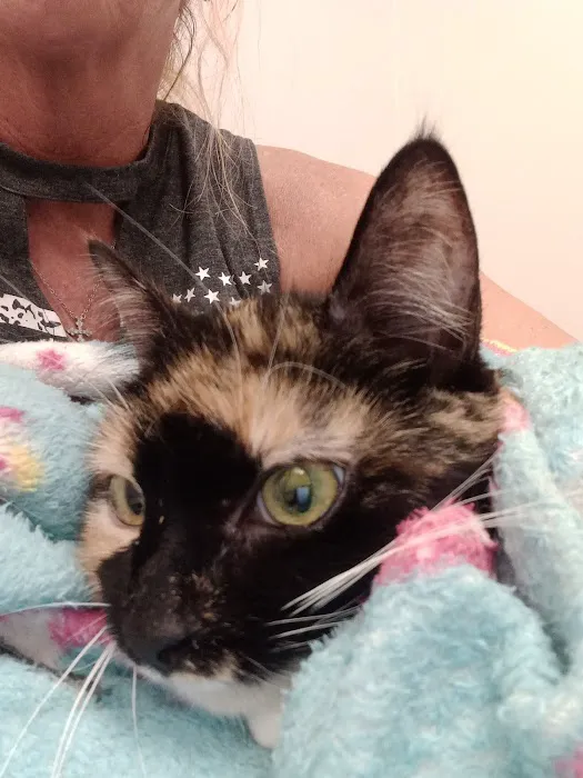 Pets R Us Vet 12