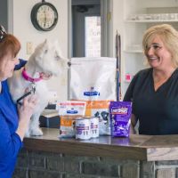 Veterinary Associates of Murfreesboro ico