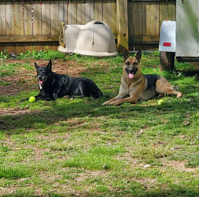 Veterinary Associates of Murfreesboro 12