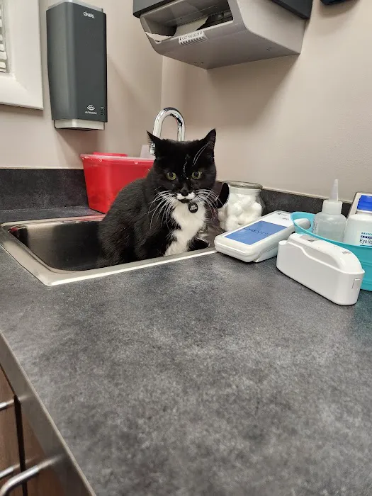 Mill Creek Animal Hospital 12
