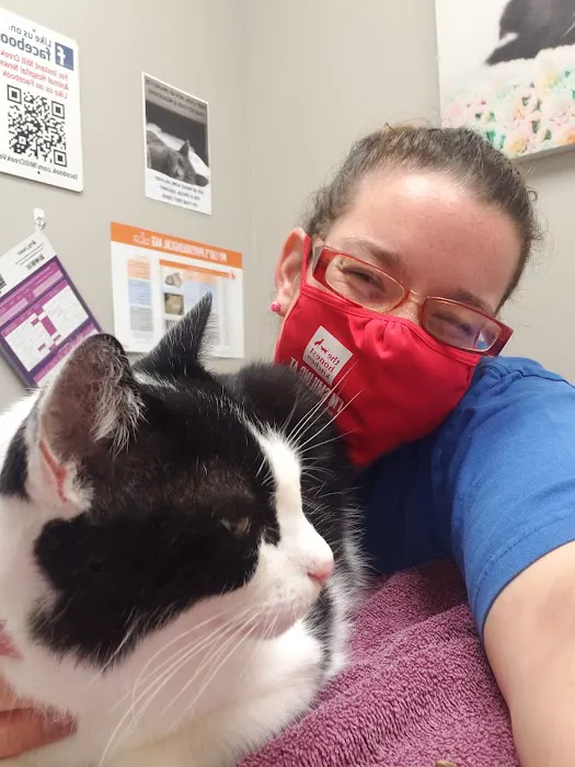 Mill Creek Animal Hospital 12